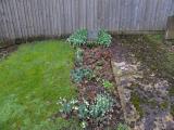 image of grave number 853395